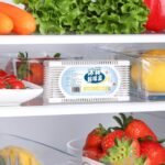 fridge freshener