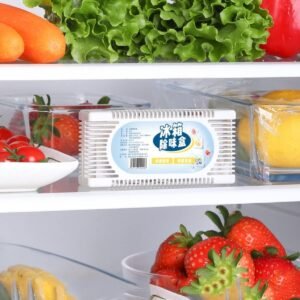 refrigerator deodorizer