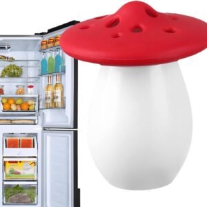 refrigerator deodorizer