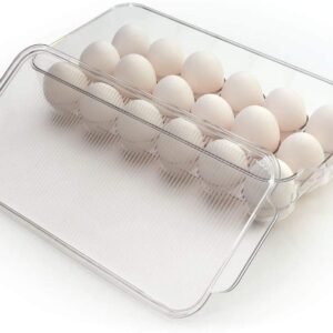 fridge egg tray