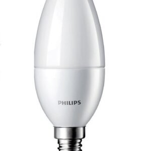 fridge light bulb