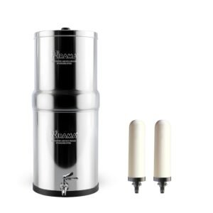 refrigerator water filter