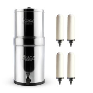 refrigerator water filter