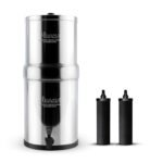 refrigerator water filter